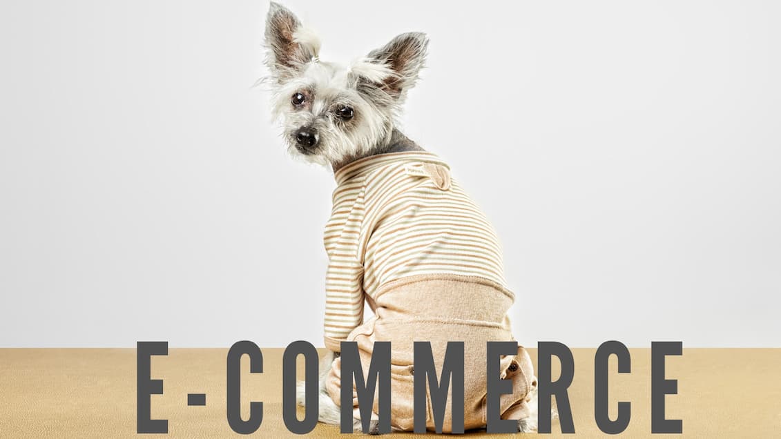 E-commerce tienda perros