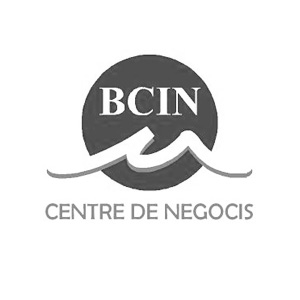 web bcin centre negocis