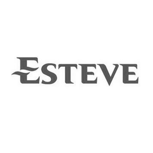 web esteve